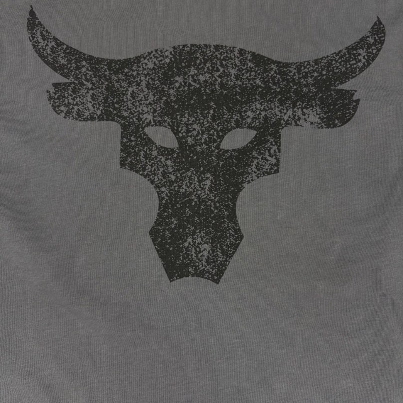 Тениска Under Armour Project Rock Brahma Bull